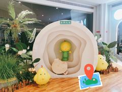 -春润大地海南椰子鸡(沙井京基百纳广场店)