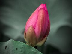 -东山风景区(洞庭东山)