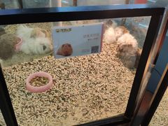 -宠物世家(仲盛世界商城店)