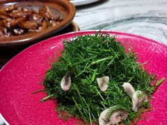 茴香苗拌口蘑-茉里乐章(花园店)