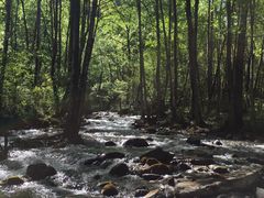 -叠溪松坪沟景区