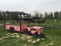 -田园东方蜜桃村的田野营地