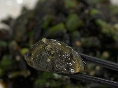 -卢六川汤肉(南方花园店)