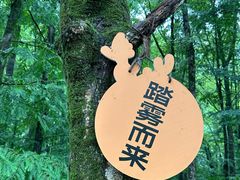 -五泄景区