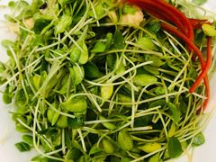 鲜桃仁豌豆苗-玉华台饭庄(裕中西里小区店)