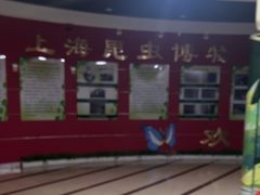 -上海昆虫博物馆