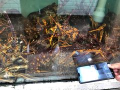 -悉尼鱼市场