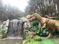 -森波拉奇妙世界