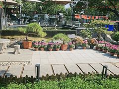 -蘇河湾·新鲁菜·泰山宴(泰山店)