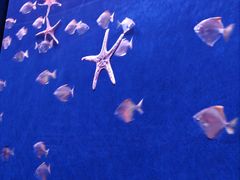 -沈阳海洋探索中心