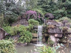 -广州神农草堂中医药博物馆