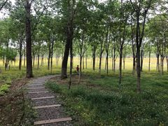 -东郊湿地公园