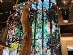 -桂满陇·海市蜃楼·黑金(国金店)