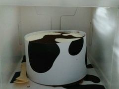 -皇家美孚(保定路店)