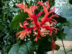 -国家植物园南园