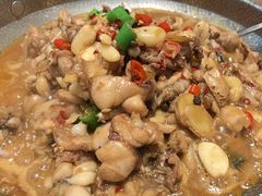 -绿草地·湘菜(芙蓉天街店)