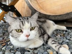 -小时光咖啡馆(开森度假森林店)