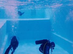 -上海潜殿潜水中心