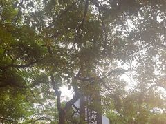 -广东花都湖国家湿地公园