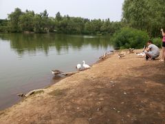 景点-沈阳鸟岛