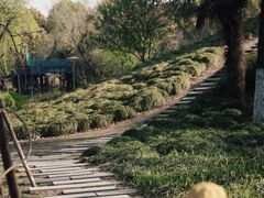 -泰州凤城河风景区-泰山公园