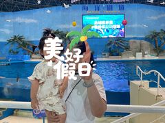 -泉城欧乐堡海洋极地世界