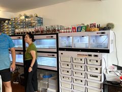 -灵龟之家百象馆(百象馆联合旗舰店)