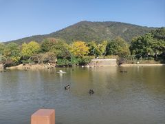 -无锡动物园·太湖欢乐园