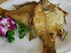 香煎银鳕鱼-荣华酒楼(鼎湖区店)