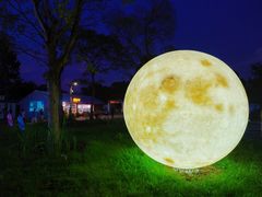 -梁鸿国家湿地公园