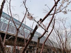 -五道口(地铁站)
