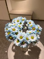 -MIDA蜜哒•科技逆龄美肤连锁