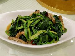 虾爬肉炒菠菜-双井轩(双井店)