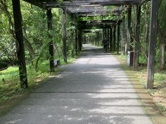 -九龙潭景区