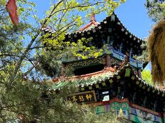 -沂蒙山旅游区云蒙景区(蒙山国家森林公园)