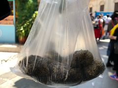 -叶氏麻糍(鼓浪屿店)