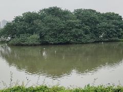 -海珠湖公园