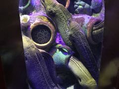 -太平洋海底世界