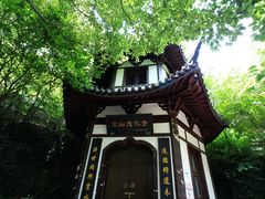 -上海佘山国家森林公园西佘山园