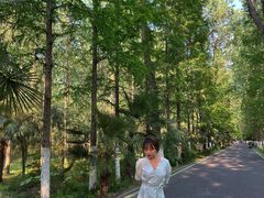 -合肥滨湖国家森林公园