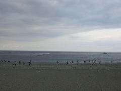 -七星潭蓝天广场