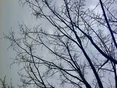 -乐山大佛风景名胜区乌尤寺南门-售票点
