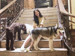 -more than meow吴止猫主题餐厅(承德 中船汇店)