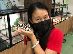 -藦茜花园宠物主题亲子互动体验馆(国顺东路店)