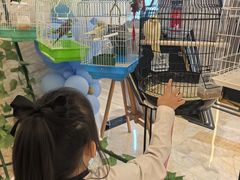 -廊坊固安福朋喜来登酒店