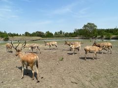 -溱湖国家湿地公园