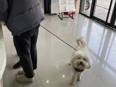 -宠颐生动物医院·小陆分院