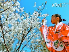 -天适樱花悠乐园