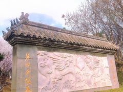 -桃花堤公园