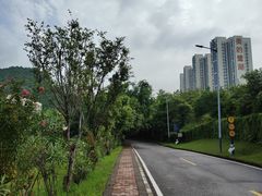 -美的鹭湖森林度假区